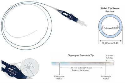 SwiftNINJA steerable microcatheter: a new kid on the block for selective catheterization of vascular and valvular congenital lesions